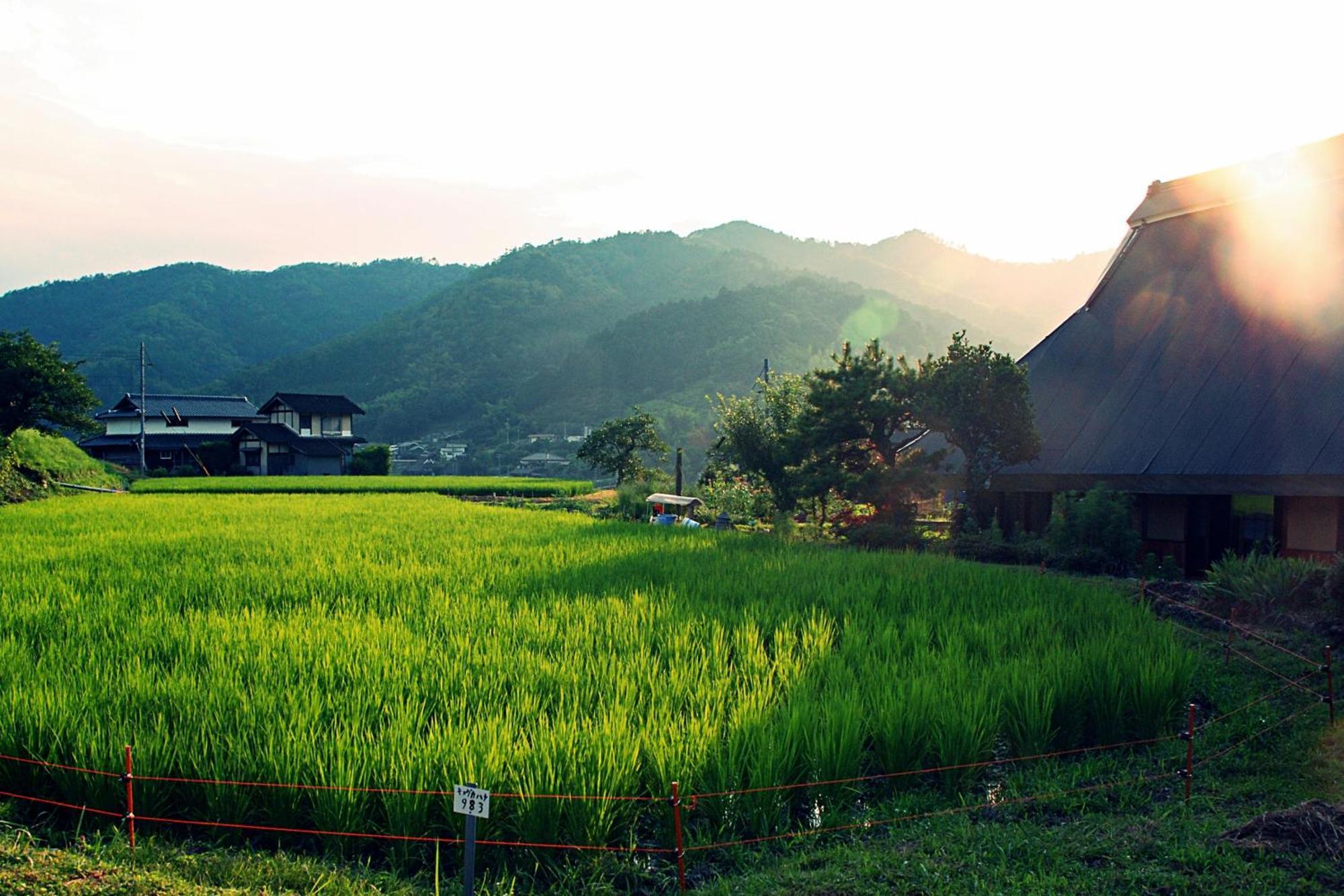 古民家の宿 ふるま家 Furumaya House Gastronomic Farmstay In Deep Kyoto Fukuchiyama Dış mekan fotoğraf